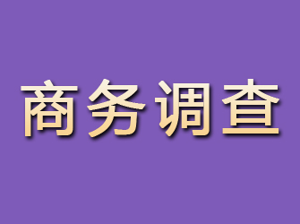 内丘商务调查